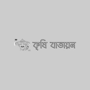 গোলাপের পাতার কাল দাগ রোগ